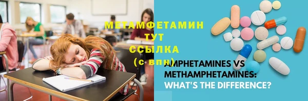 сатива Сясьстрой